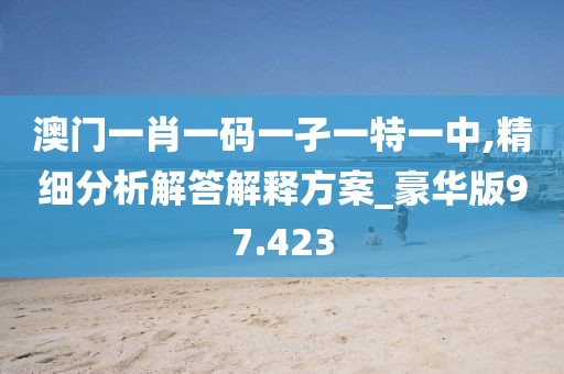 澳门一肖一码一孑一特一中,精细分析解答解释方案_豪华版97.423