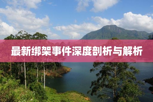 最新绑架事件深度剖析与解析