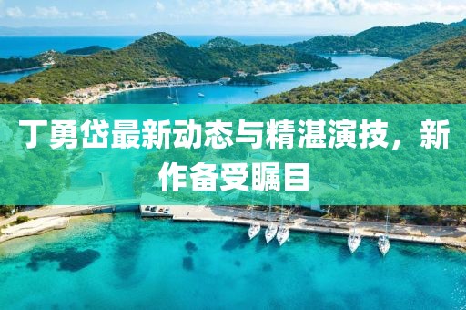 丁勇岱最新动态与精湛演技，新作备受瞩目