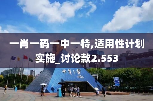 一肖一码一中一特,适用性计划实施_讨论款2.553