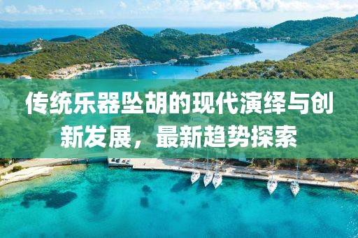 传统乐器坠胡的现代演绎与创新发展，最新趋势探索