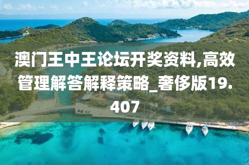 澳门王中王论坛开奖资料,高效管理解答解释策略_奢侈版19.407