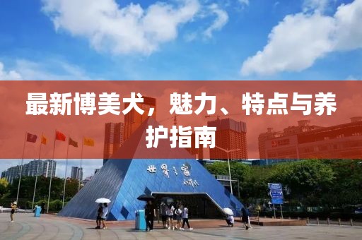 新型建筑材料生产 第265页