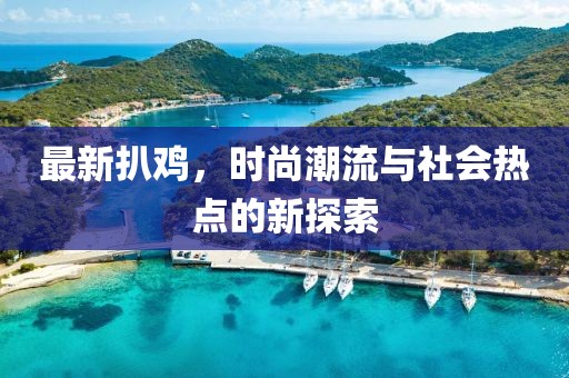 最新扒鸡，时尚潮流与社会热点的新探索