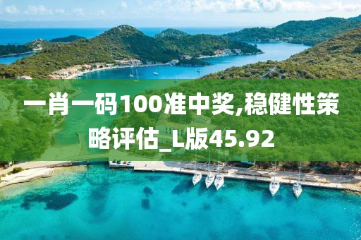一肖一码100准中奖,稳健性策略评估_L版45.92