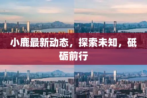 小鹿最新动态，探索未知，砥砺前行