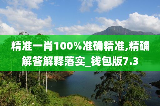 精准一肖100%准确精准,精确解答解释落实_钱包版7.3