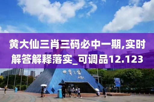黄大仙三肖三码必中一期,实时解答解释落实_可调品12.123
