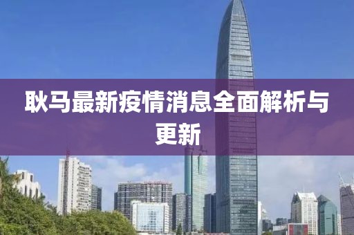 耿马最新疫情消息全面解析与更新