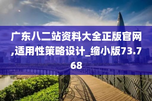 广东八二站资料大全正版官网,适用性策略设计_缩小版73.768