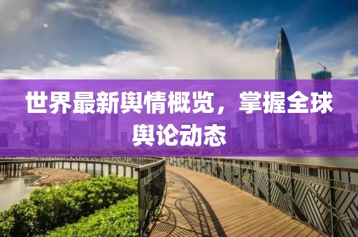 世界最新舆情概览，掌握全球舆论动态