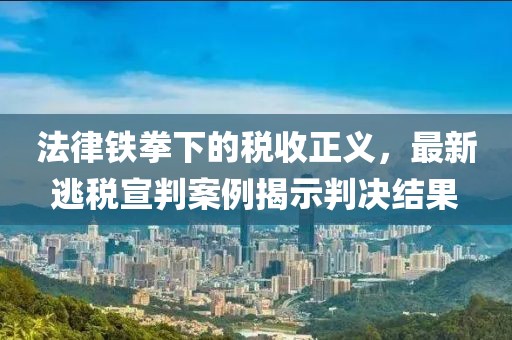 法律铁拳下的税收正义，最新逃税宣判案例揭示判决结果