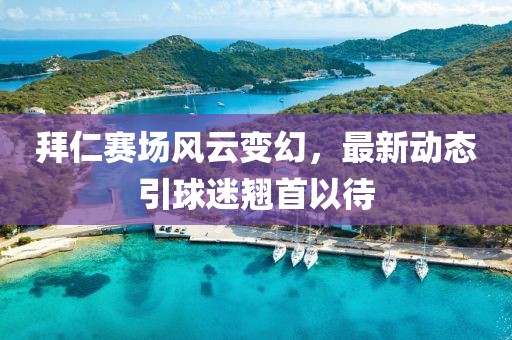 拜仁赛场风云变幻，最新动态引球迷翘首以待