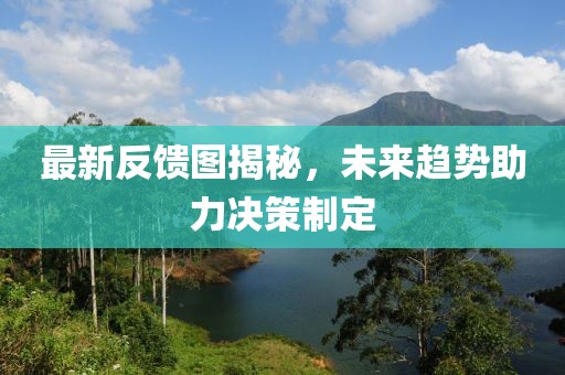 最新反馈图揭秘，未来趋势助力决策制定