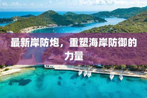 最新岸防炮，重塑海岸防御的力量