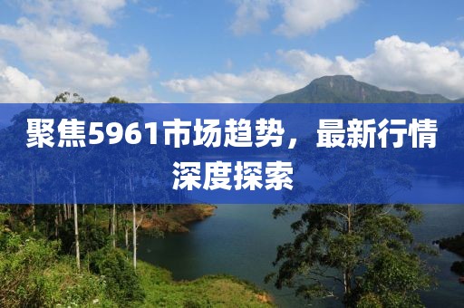 聚焦5961市场趋势，最新行情深度探索