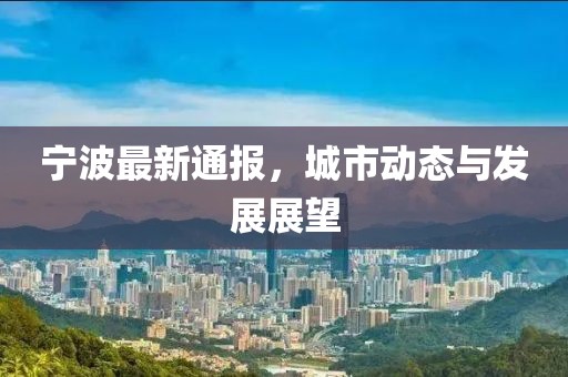 宁波最新通报，城市动态与发展展望
