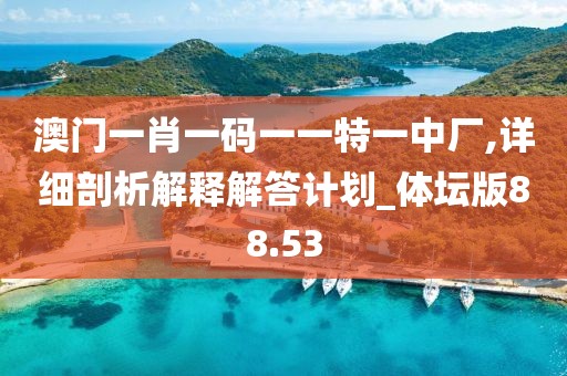 澳门一肖一码一一特一中厂,详细剖析解释解答计划_体坛版88.53