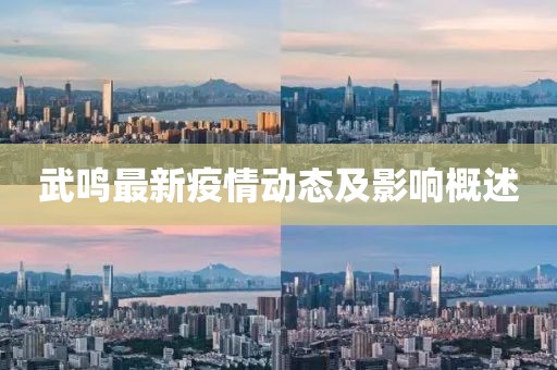武鸣最新疫情动态及影响概述