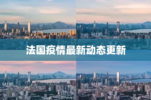 法国疫情最新动态更新