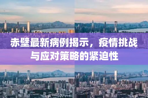 赤壁最新病例揭示，疫情挑战与应对策略的紧迫性