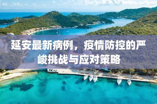 延安最新病例，疫情防控的严峻挑战与应对策略