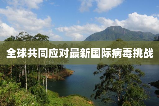 全球共同应对最新国际病毒挑战