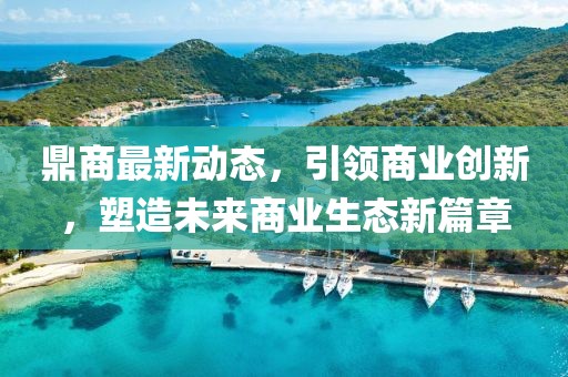 鼎商最新动态，引领商业创新，塑造未来商业生态新篇章
