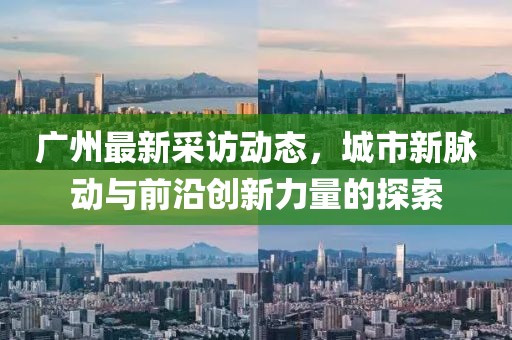 广州最新采访动态，城市新脉动与前沿创新力量的探索