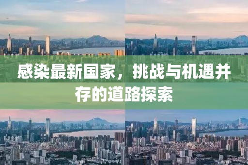 感染最新国家，挑战与机遇并存的道路探索