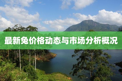 最新兔价格动态与市场分析概况
