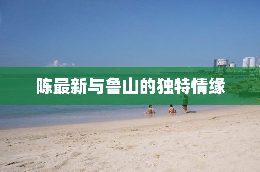 陈最新与鲁山的独特情缘