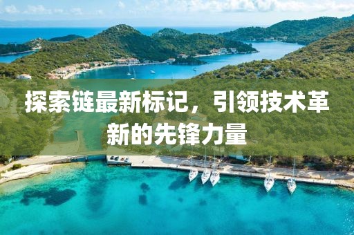 探索链最新标记，引领技术革新的先锋力量