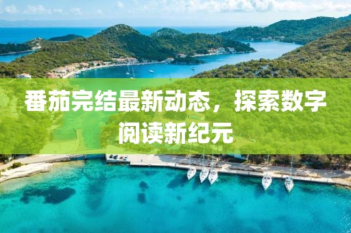 番茄完结最新动态，探索数字阅读新纪元