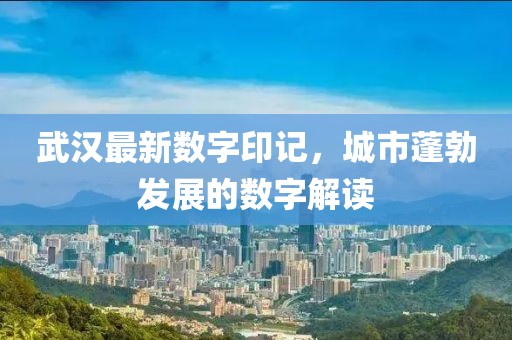 武汉最新数字印记，城市蓬勃发展的数字解读