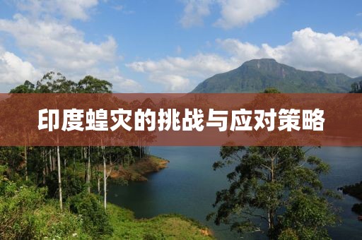 印度蝗灾的挑战与应对策略