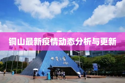 铜山最新疫情动态分析与更新