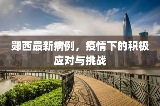 郧西最新病例，疫情下的积极应对与挑战