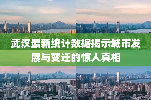 武汉最新统计数据揭示城市发展与变迁的惊人真相