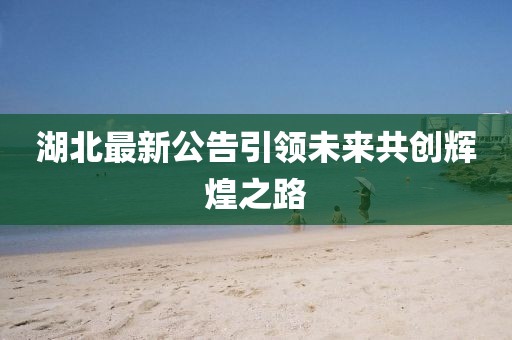 湖北最新公告引领未来共创辉煌之路