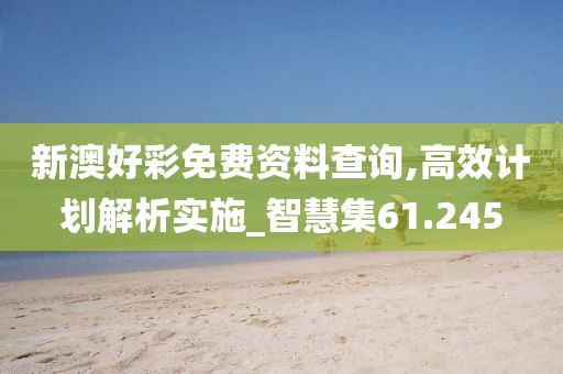 新澳好彩免费资料查询,高效计划解析实施_智慧集61.245