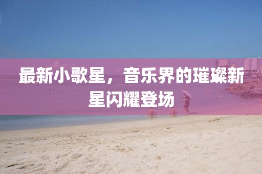 最新小歌星，音乐界的璀璨新星闪耀登场