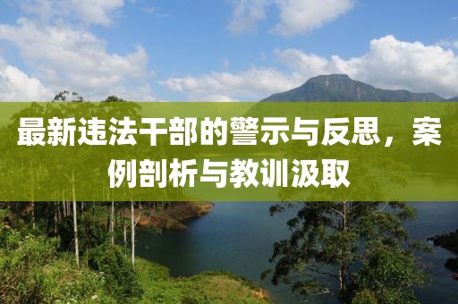 最新违法干部的警示与反思，案例剖析与教训汲取