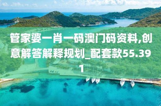 管家婆一肖一码澳门码资料,创意解答解释规划_配套款55.391
