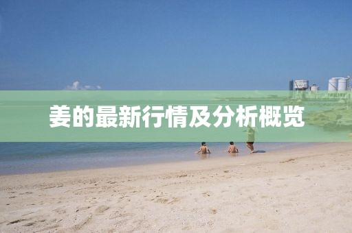 姜的最新行情及分析概览