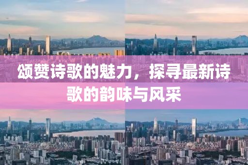 空欢喜 第14页