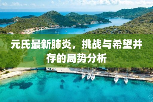 元氏最新肺炎，挑战与希望并存的局势分析