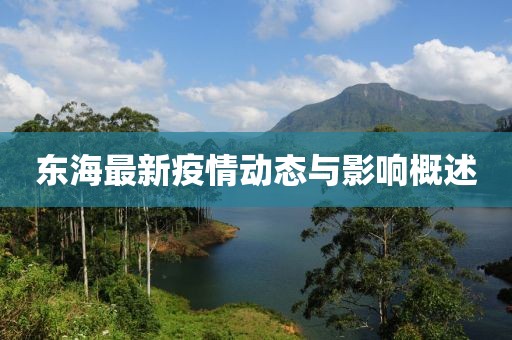 东海最新疫情动态与影响概述