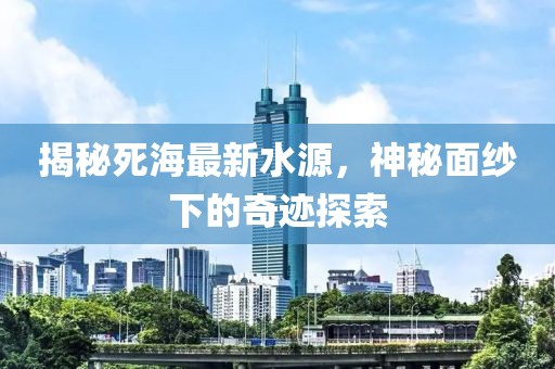 花开无言 第13页