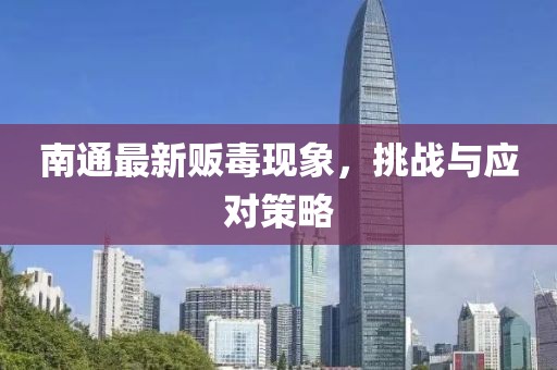 南通最新贩毒现象，挑战与应对策略
